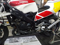 DSCN8309