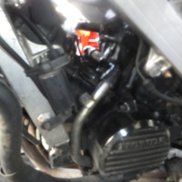 DSCF5447