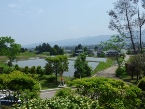 P1030579