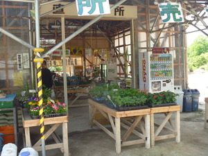 P1030563