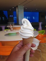 2e6d4035.jpg