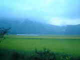 akamizu2