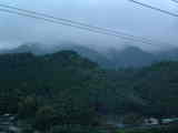 senba2