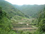 tanada