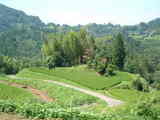 aso2