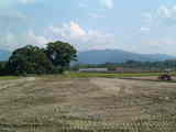 kumatetu