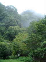 amayadori