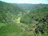 aso1