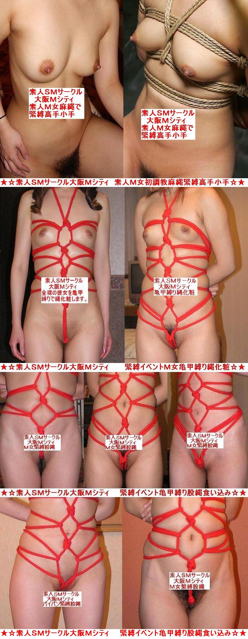 パイパン　股縄 の掲示板投稿写真＆画像