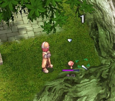 vsキノコ