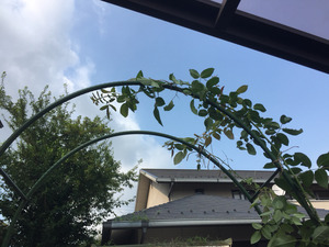 2017-08-05-15-58-42