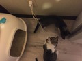 2016-06-13-05-09-38