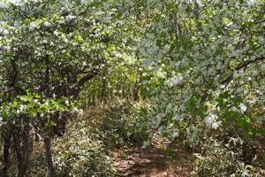 IMG_3951