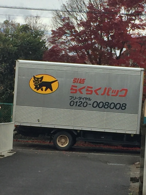 2017-11-23-12-24-47
