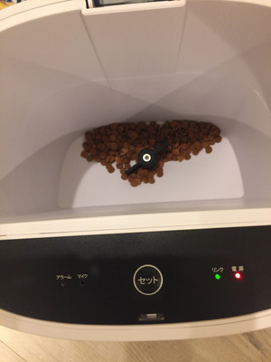 2017-11-23-19-16-01
