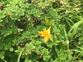 2016-06-19-11-16-39