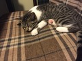 2016-06-19-16-57-42