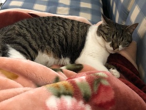 IMG_0047
