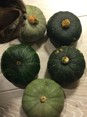 2016-09-22-18-08-48