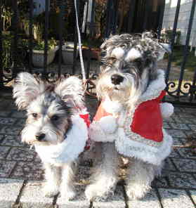 2009_1225AL