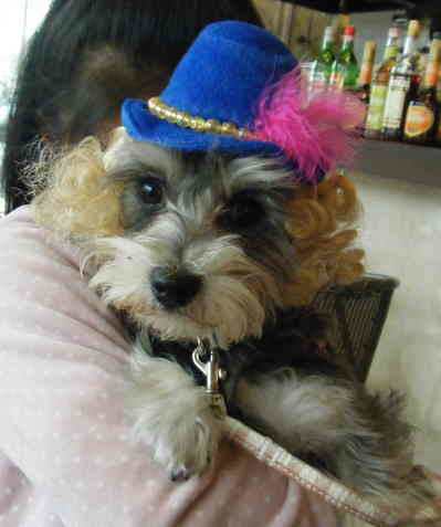 2010_0103AF