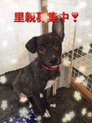 FB_IMG_1505198949280