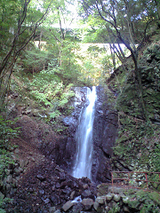resize0817