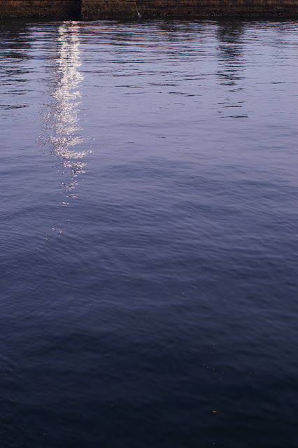IMGP7946