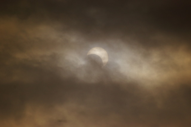 IMGP8523