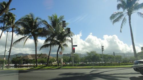 DSC02845