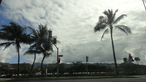 DSC02400