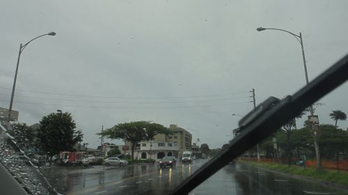 DSC09254