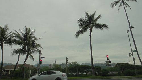 DSC09302