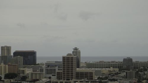 DSC09242