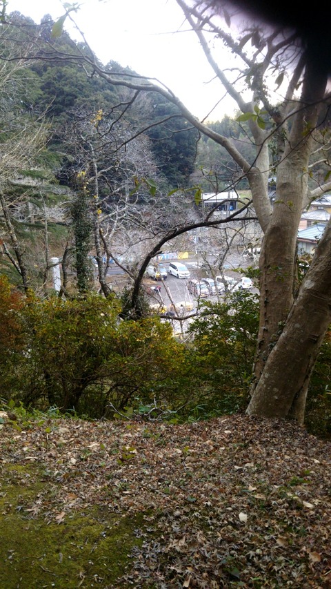 20190115_134459718