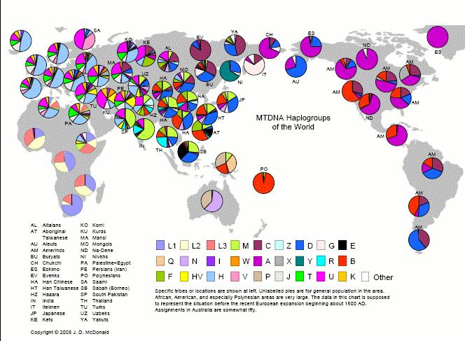 海外ネタつれずれDNAの分布から人種の違いが分かる地図
