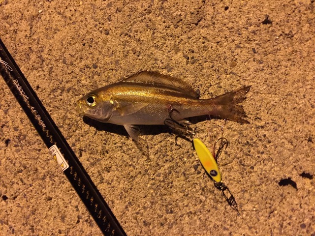 isaki