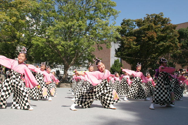 35c8eaa6.jpg
