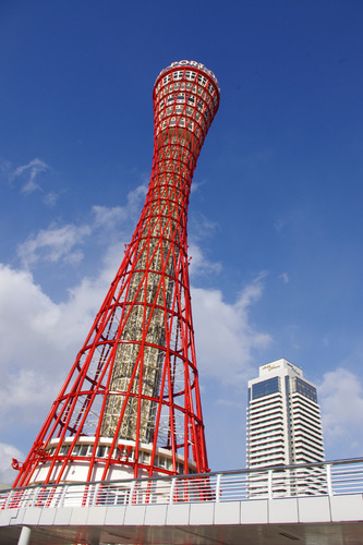 IMGP1449
