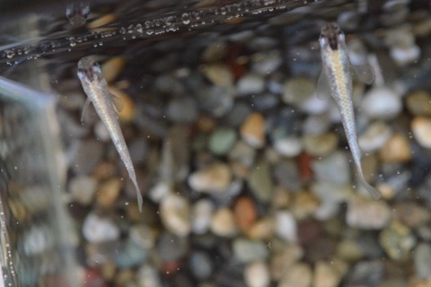 s_CSC_0173