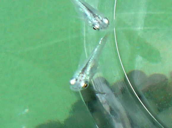 8539fa53.jpg