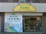 メディカルサロン CoCo ダイエットコースモニター募集