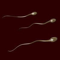 sperm%2001