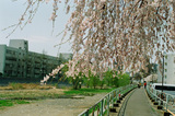 contax 033