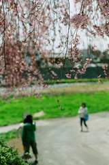 contax 030