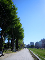 DSCN0113