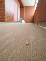 DSCN1518