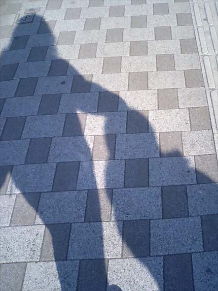 yokohama_shadow_smallimage