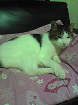 0a35e72b.jpg