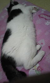 35a73a80.jpg